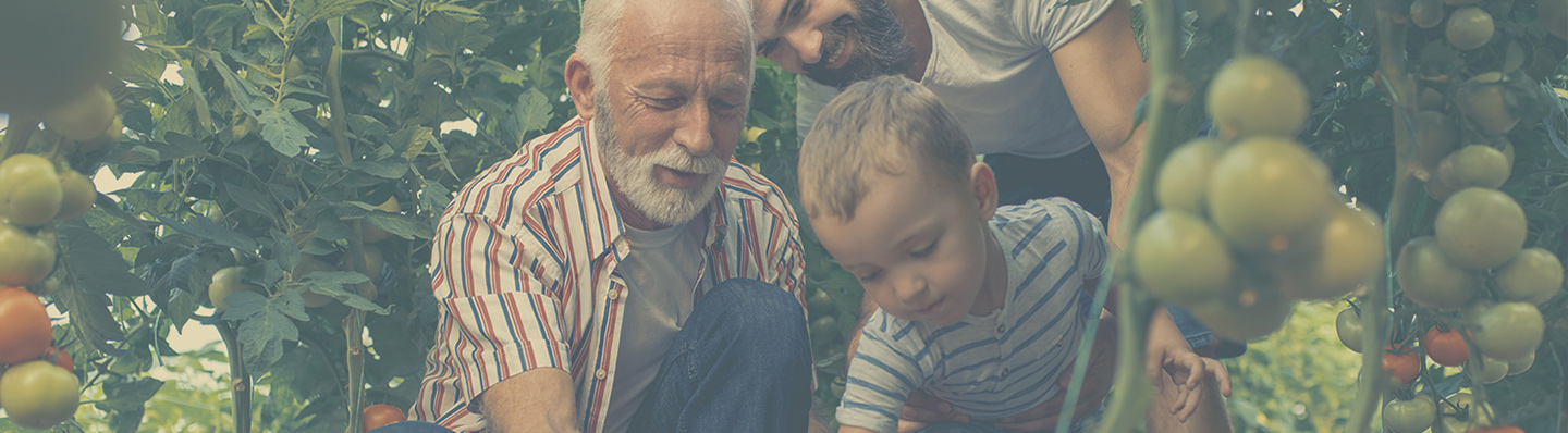 Arizona Farm Insurance Coverage